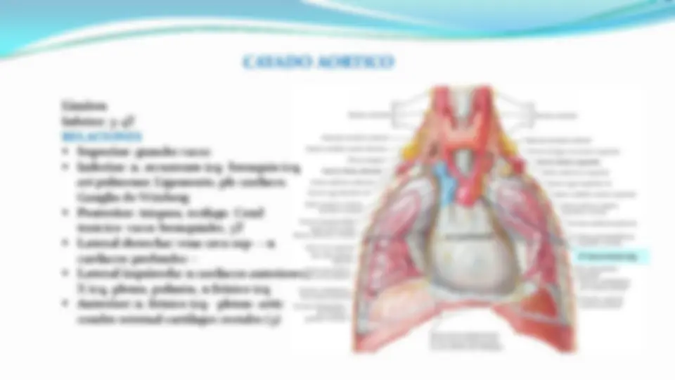 pf1a