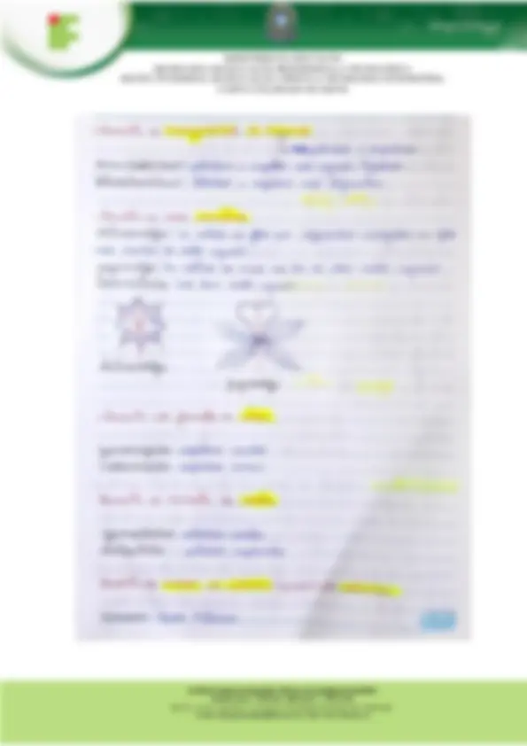 pf3