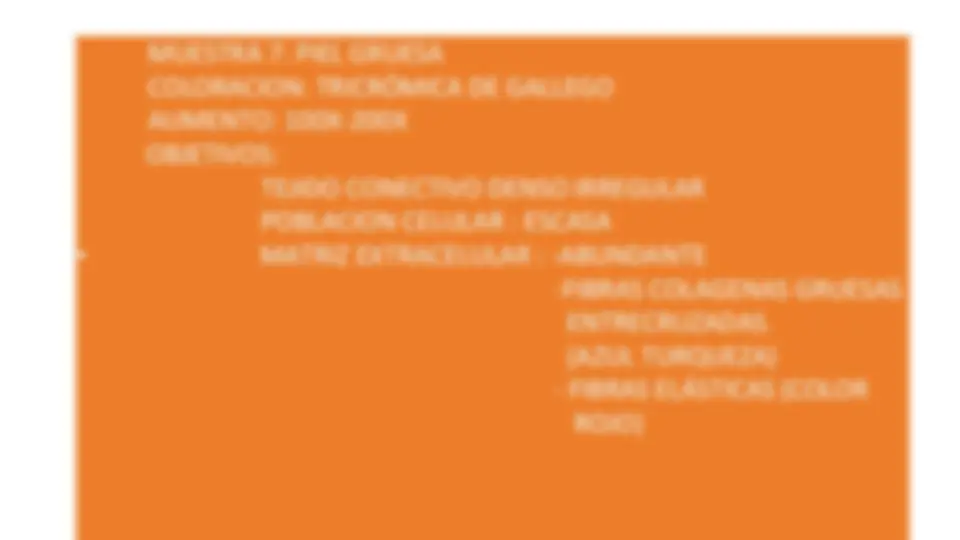pf14