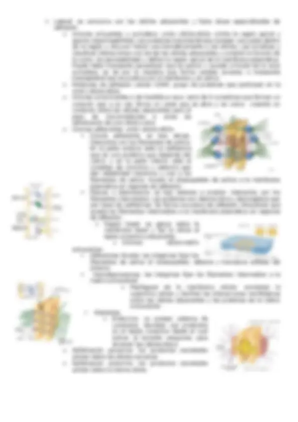 pf4