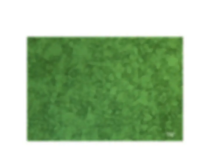 pf1f