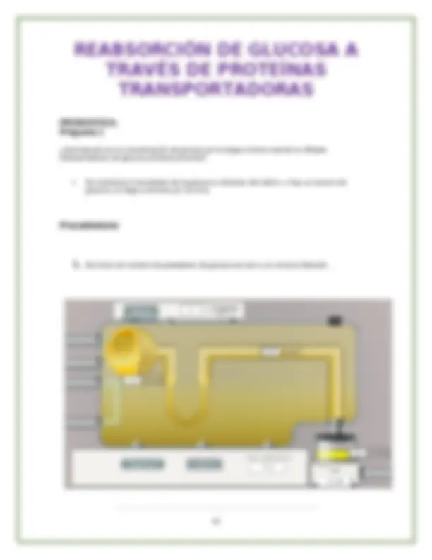 pf2f