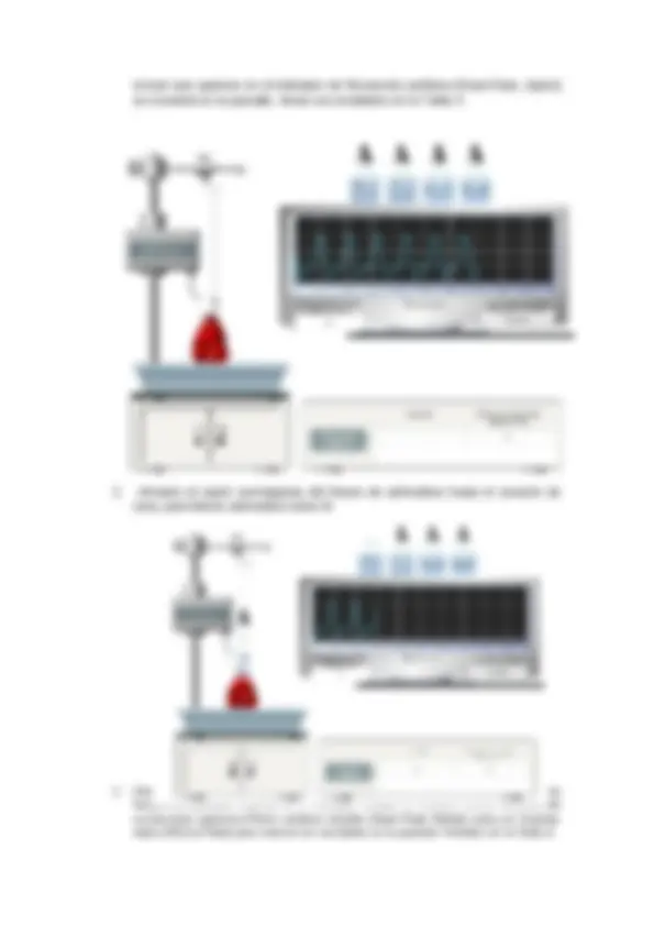 pf13