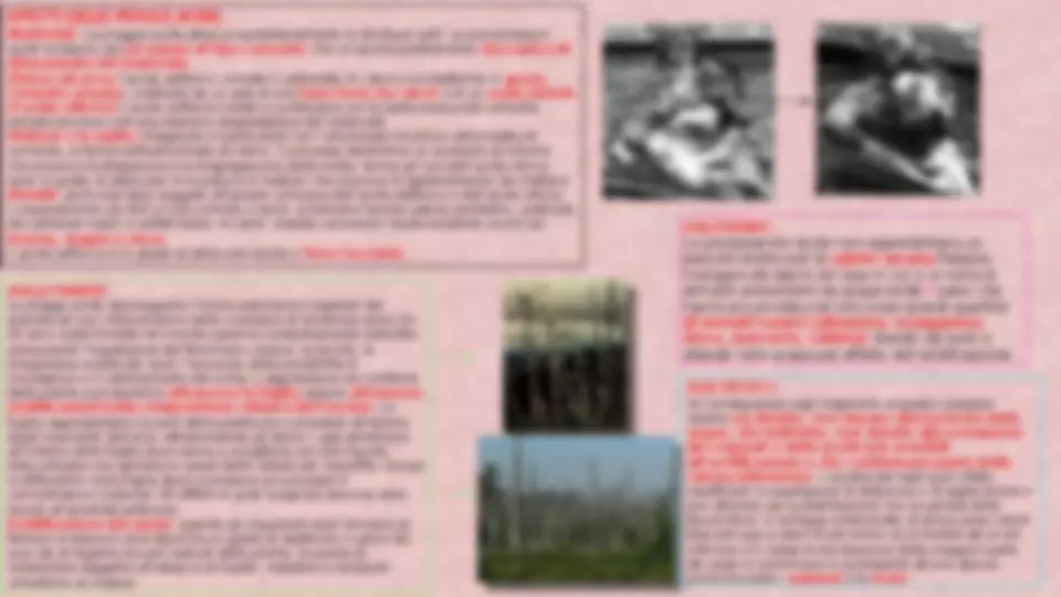 pf2