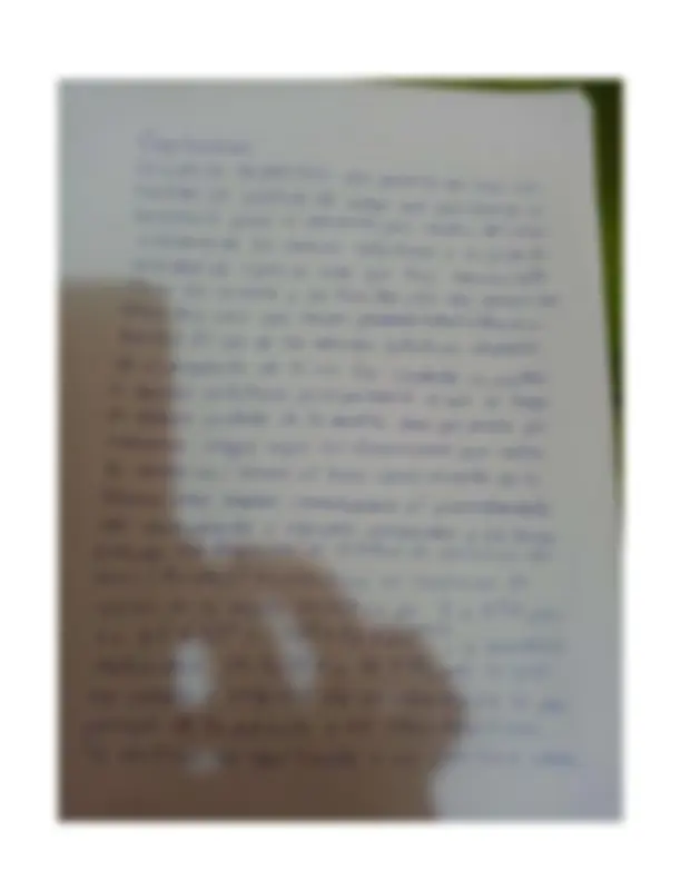 pf24