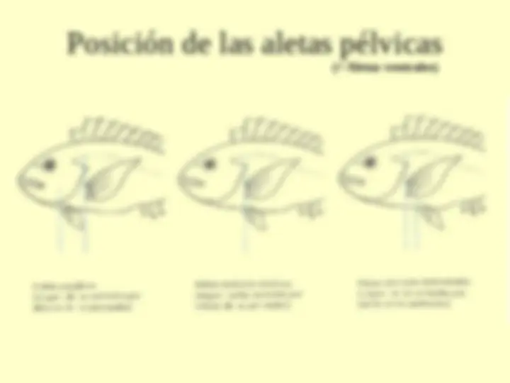 pff