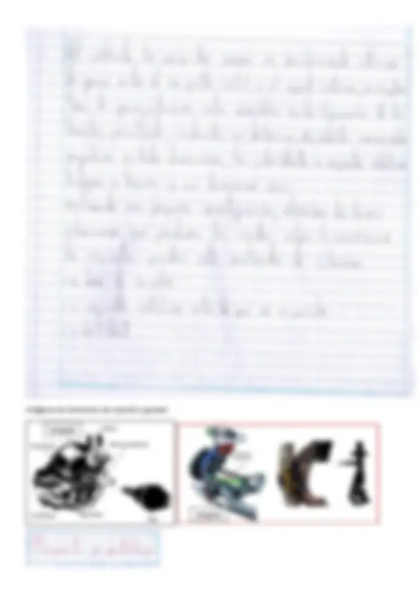 pf23