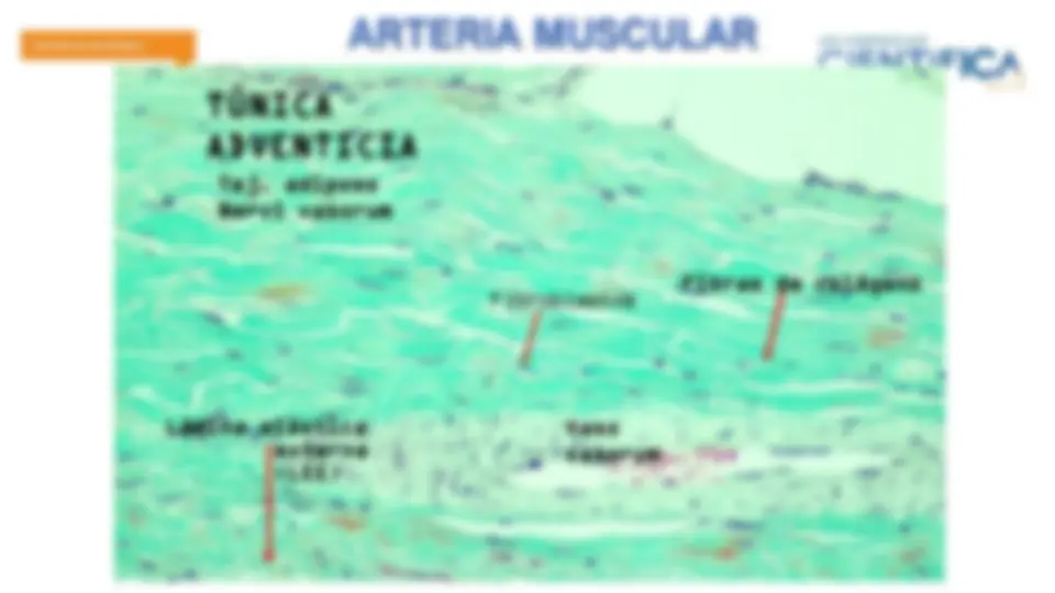 pfa
