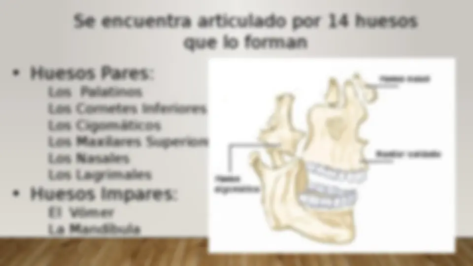 pf31