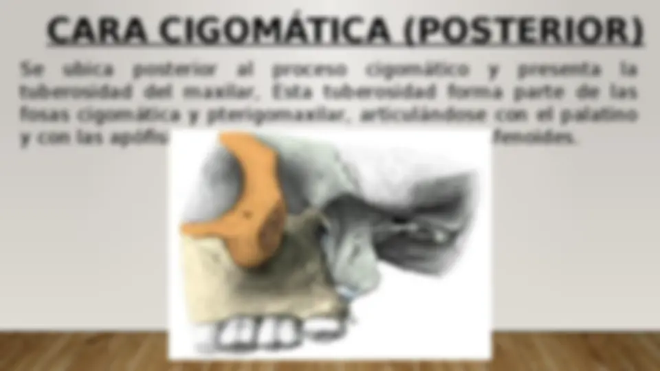pf36