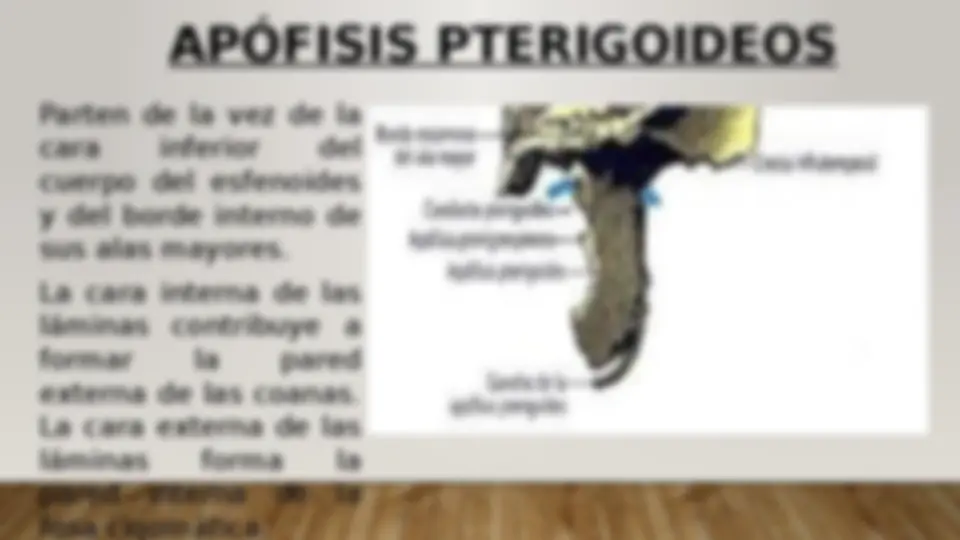pf28