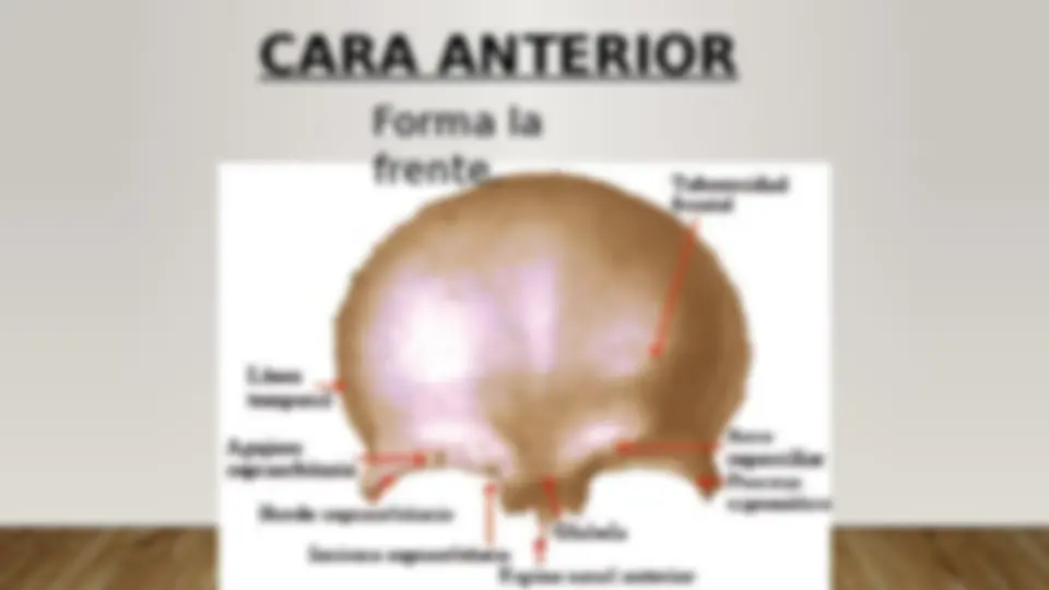 pfa