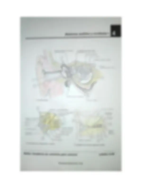 pf1a