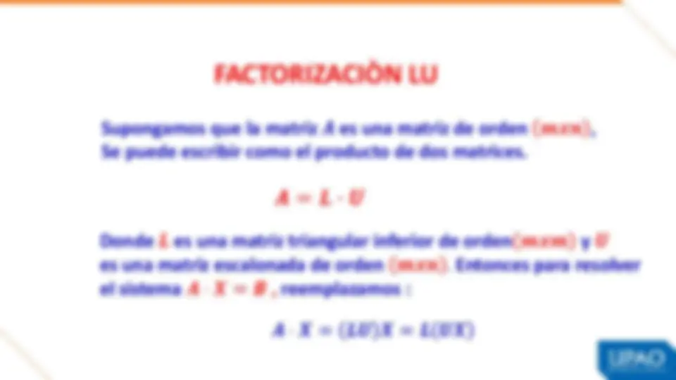 pf19