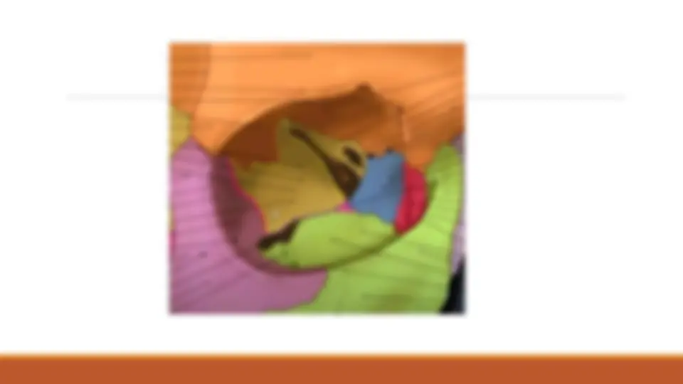 pfe