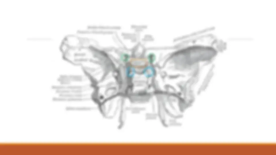 pf5