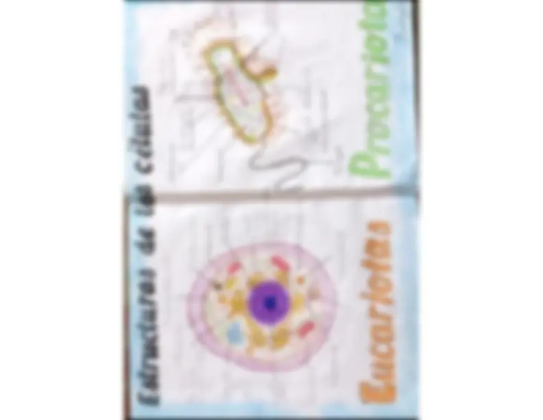 pf2