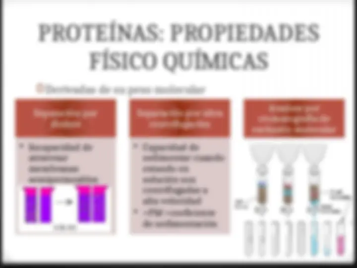pf20