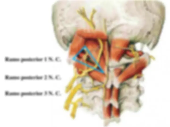 pf5