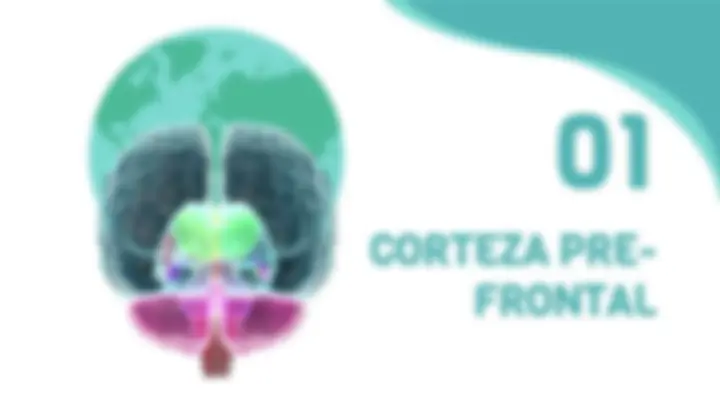 pf5