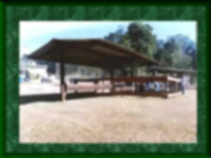 pf21