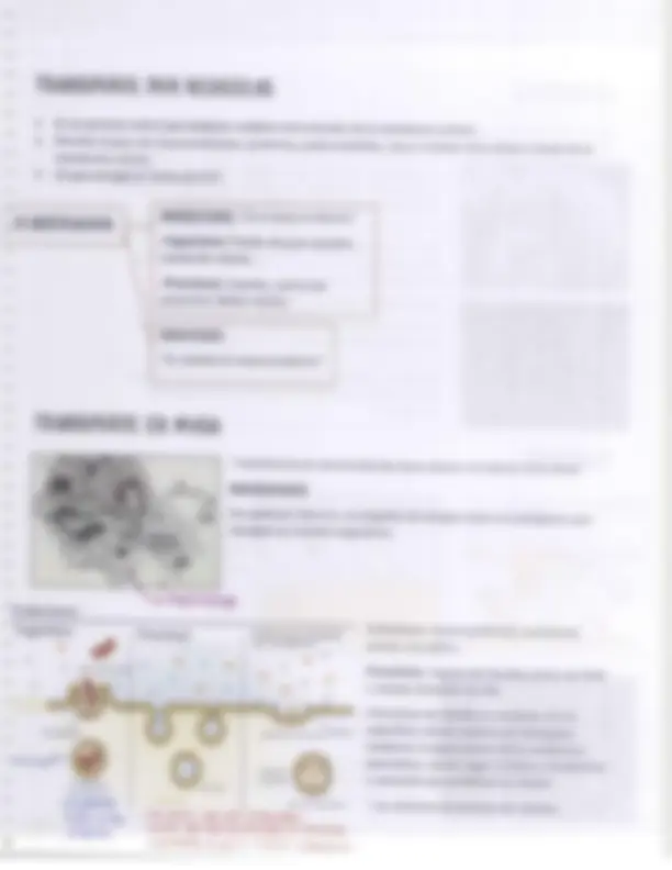 pf3b