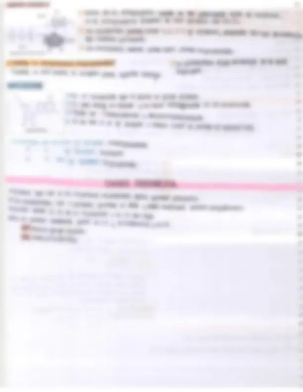 pf26