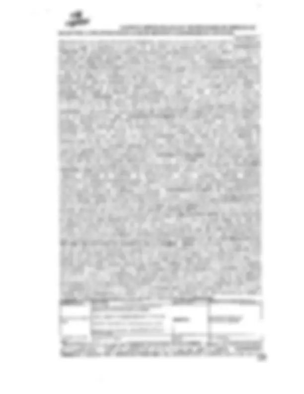 pf19