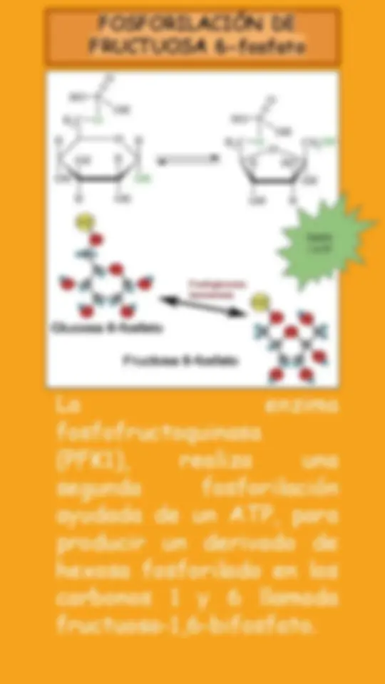 pf5