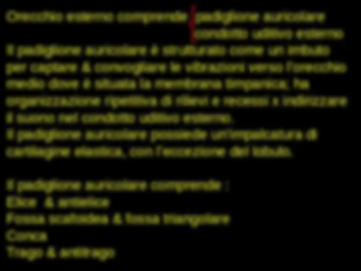pf5