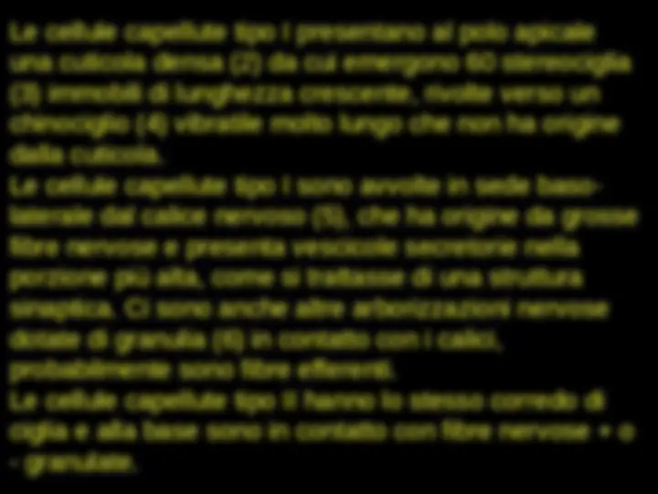 pf62