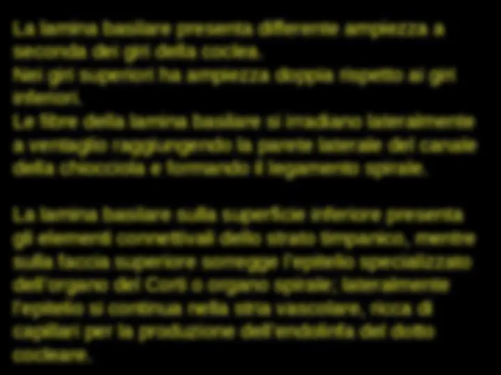 pf33