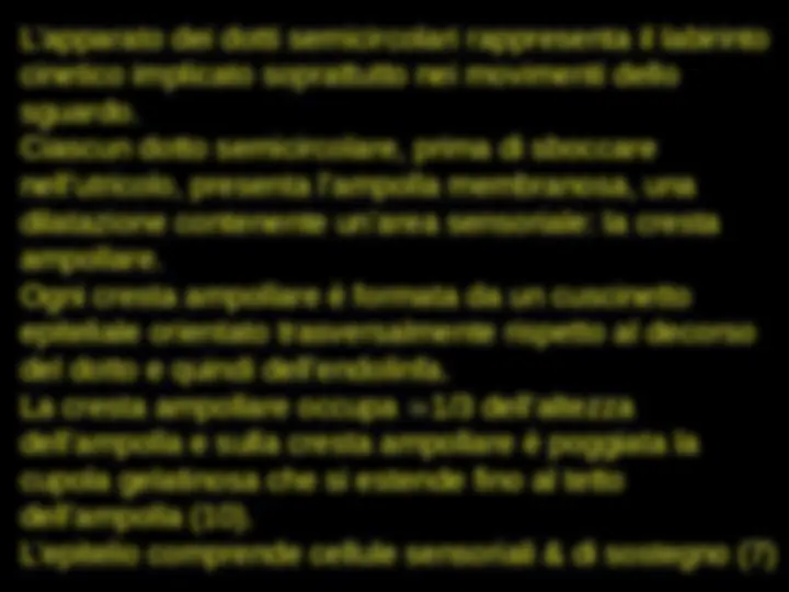 pf5e