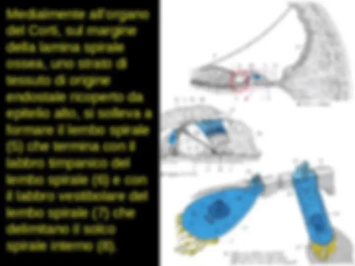 pf34