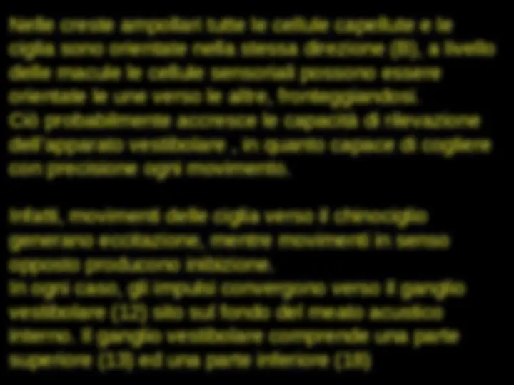 pf63