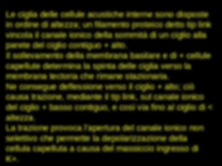 pf46