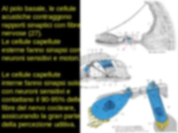 pf3d