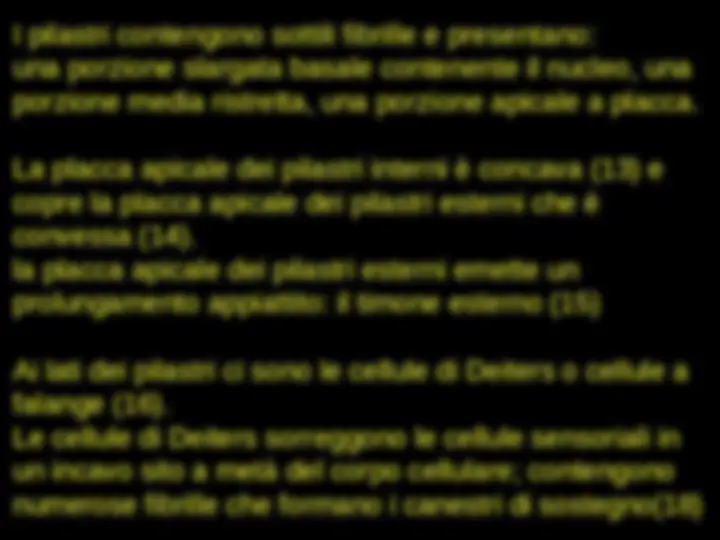 pf36