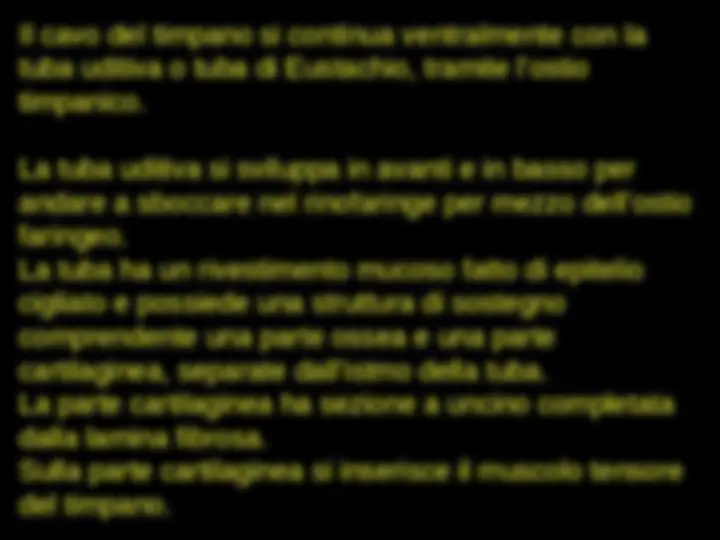 pfe