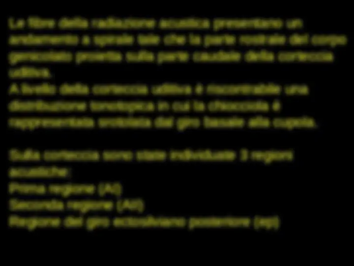 pf52