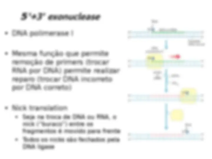 pf21
