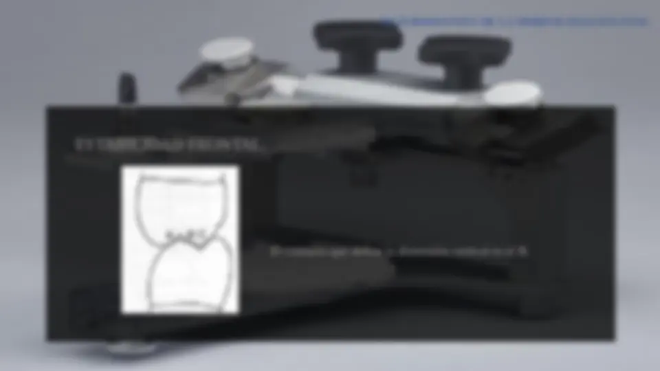 pf24