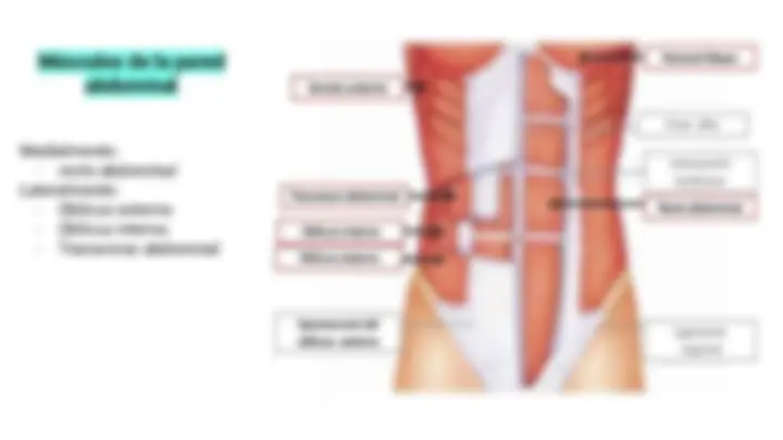 pf3