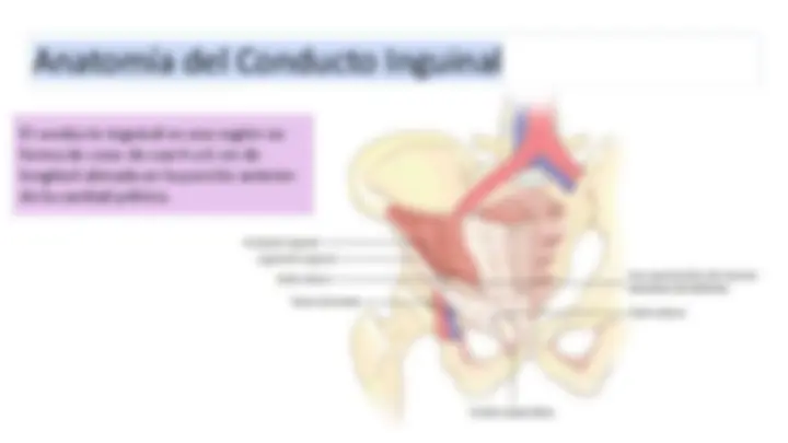 pfa