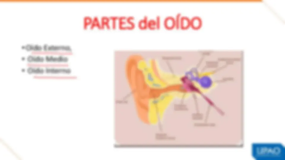 pff