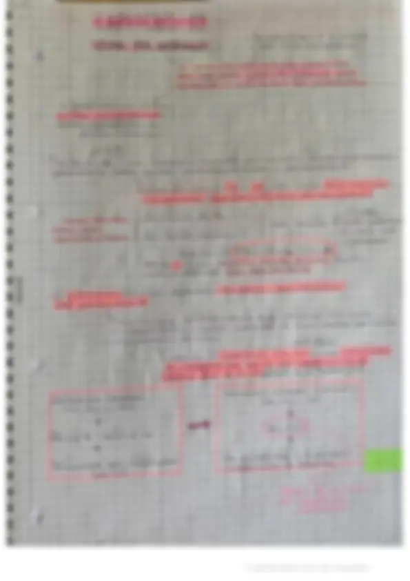 pf29