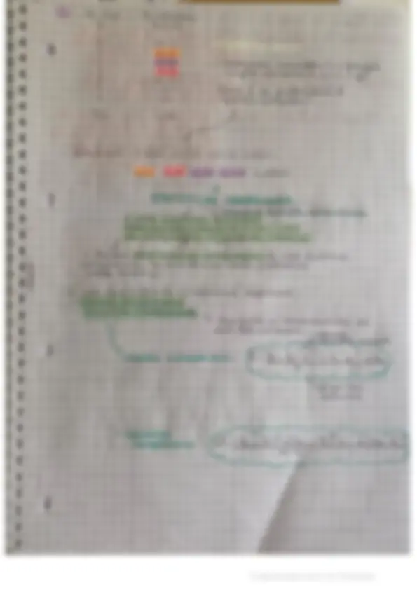 pf1e