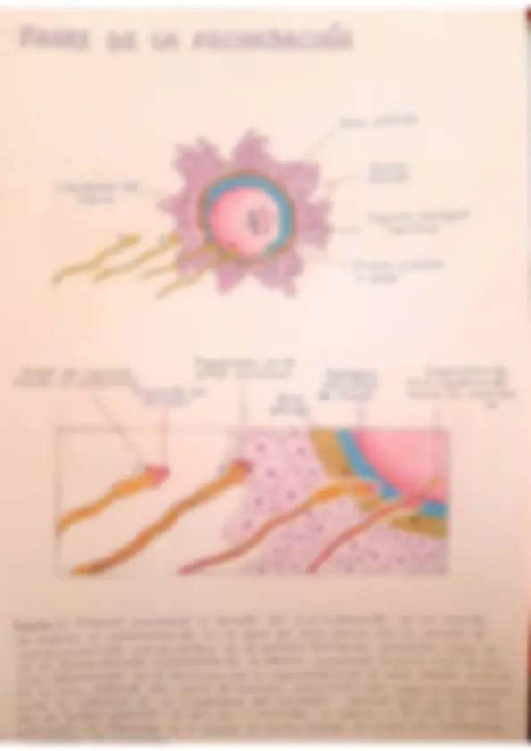 pf5
