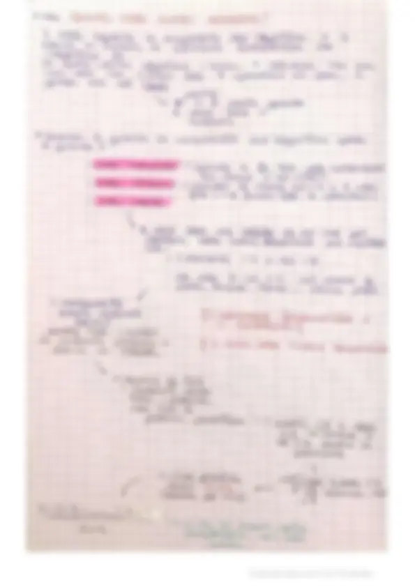 pf24