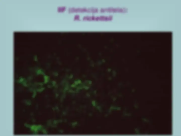 pf27